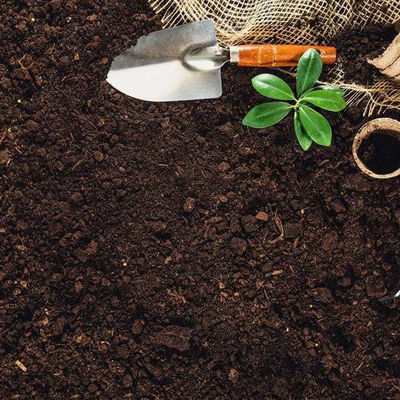 کسب و کار تست آزمایشگاه خاک کشاورزی برای فروش گواهی جهانی خدمات احراز هویت شخص ثالث