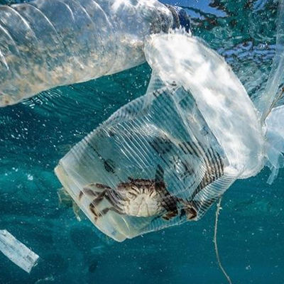 خدمات احراز هویت شخص ثالث مرجع آلودگی بیولوژیکی آموزش آزمایشگاه آزمایش خاک و آب