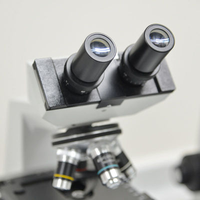 ISO8124 15189 خدمات تست آزمایشگاهی دارای گواهی Iso تست اسباب بازی خدمات احراز هویت شخص ثالث