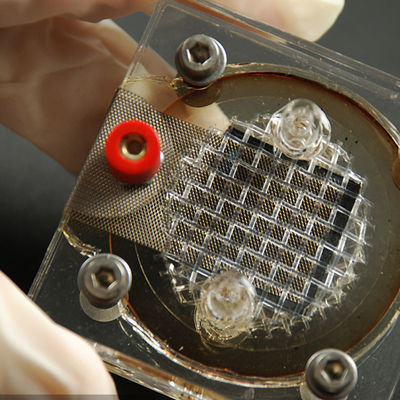 DOE Fcc CE Certification Lab سازگاری الکترومغناطیسی دستگاه پاپ کورن سرویس احراز هویت شخص ثالث