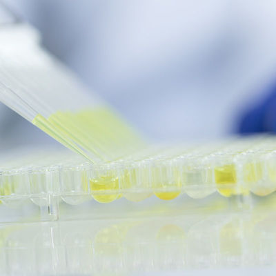 خدمات آزمایشگاه های آزمایش شیشه مواد غذایی آزمایشگاه های معتبر FDA خدمات احراز هویت شخص ثالث